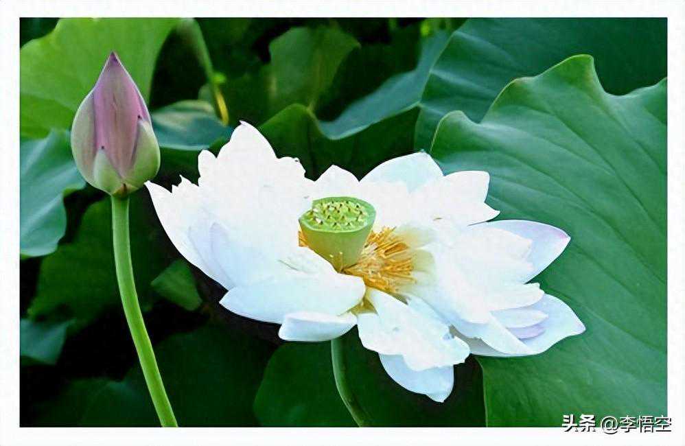 佛法的核心是般若吗？佛经的重点经典有哪些？四大四小金刚来了