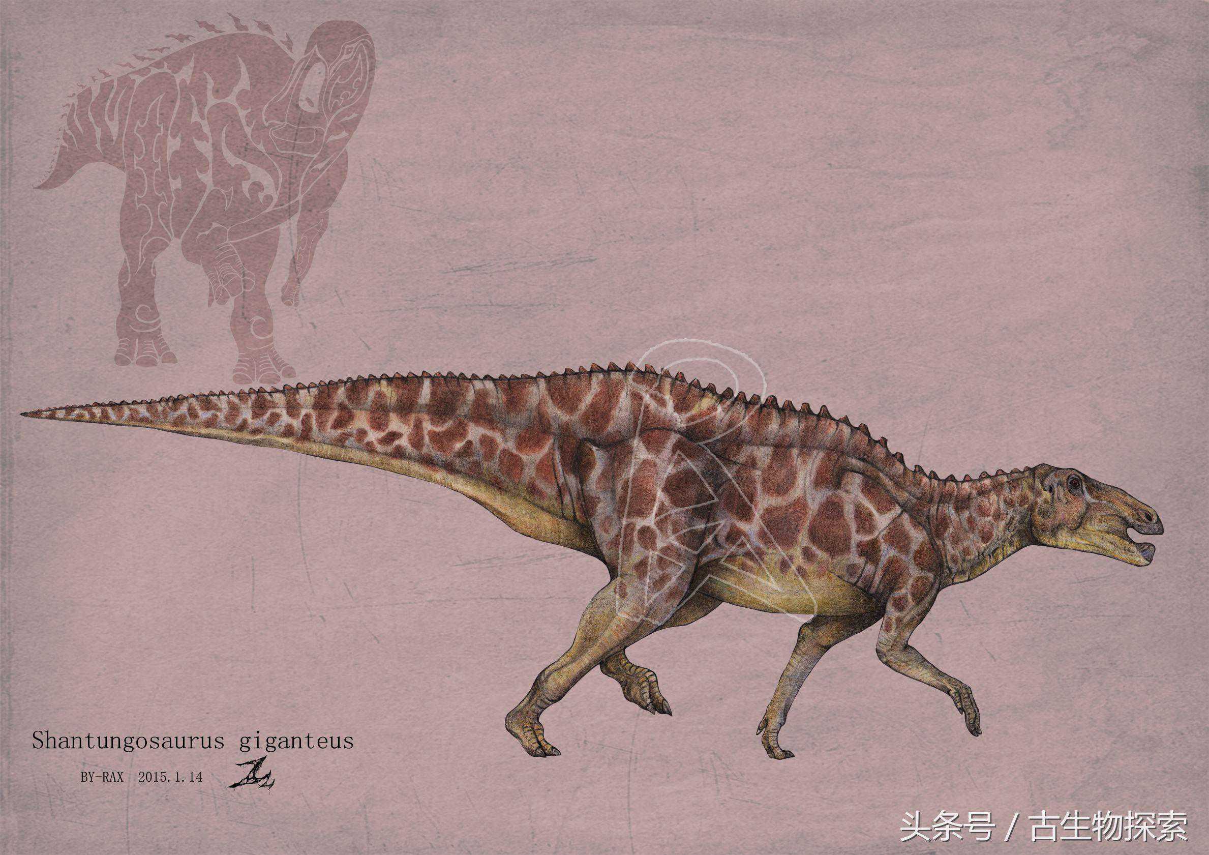 中国百年十大恐龙——山东龙