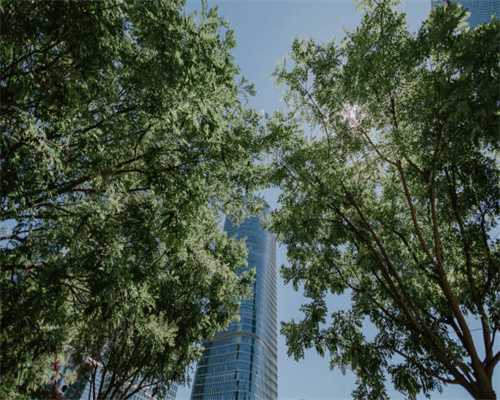 保卫萝卜3工厂第40关怎么过 第40关过关图文攻略