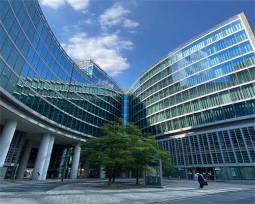 2018手游榜黑马:《活下去》评测