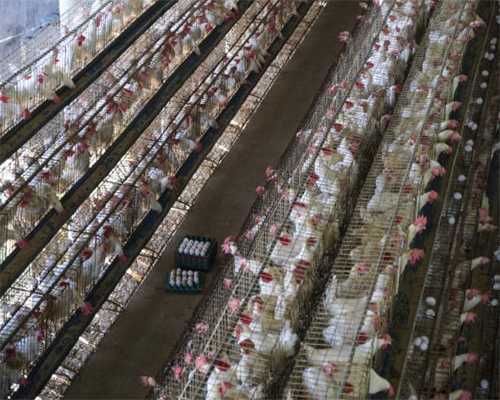 《博物馆奇妙夜3》官方解谜游戏上架