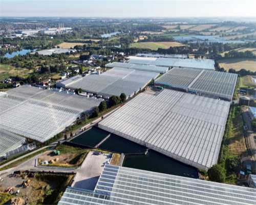 艾莱斯深度解析：单机游戏运营策略