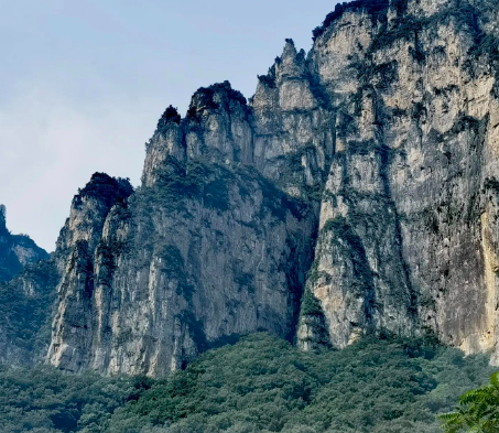 生存游戏推荐（三）迷失森林theforest